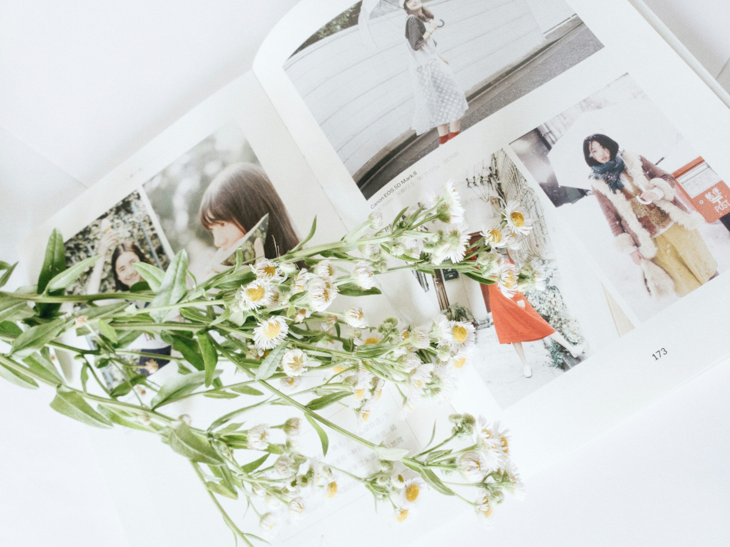雑誌モデルには、実はさまざまな種類があることをご存知だろうか。